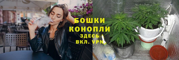 дживик Кодинск