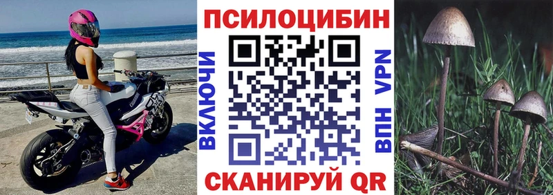 Псилоцибиновые грибы MAGIC MUSHROOMS  Купить закладки  Барнаул 